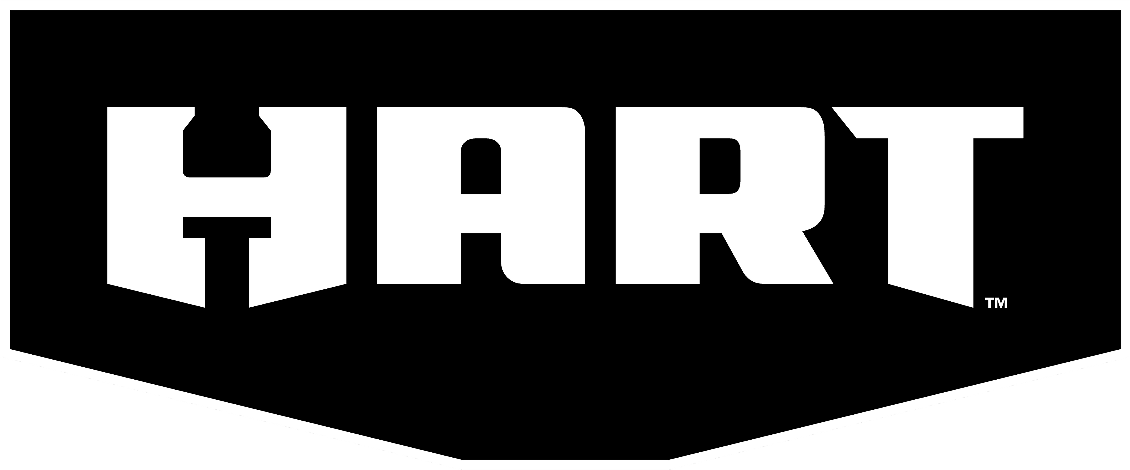 HART 3100 PSI 2.5 GPM 212cc 4-Cycle OHV Gas Powered Cold Water Pressure Washer