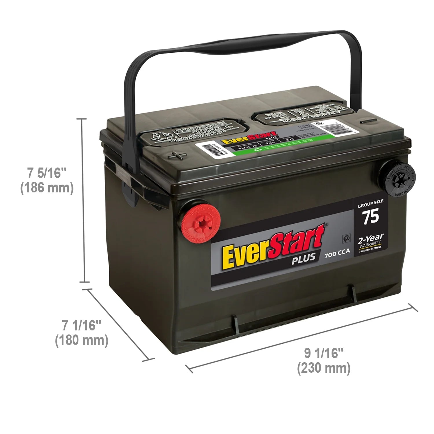 EverStart Plus Lead Acid Automotive Battery. Group Size 75 12 Volt. 700 CCA