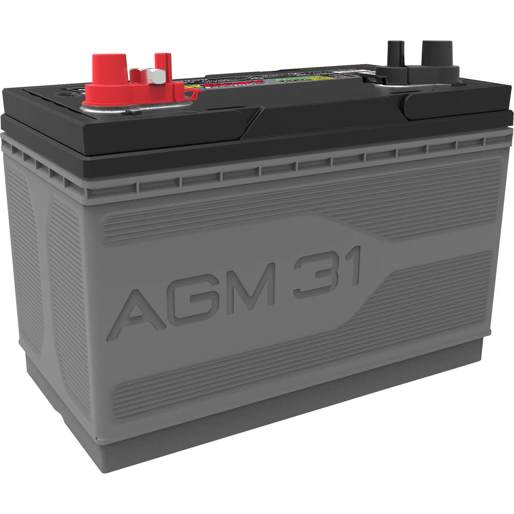 EverStart Platinum BOXED AGM Marine and RV Deep Cycle Battery. Group Size 31M 12 Volt. 1030 MCA