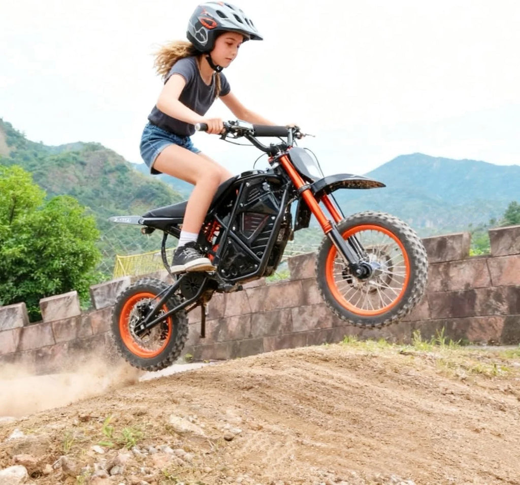 GT73 PRO 338 NM Electric Dirt Bike for Adults.3000W(Peak)Dual Motor 50Mph Max Speed.60V 50MPH 36.4AH Dual Battery Ebike.85 Miles Range. 25 Motorcycle Tires. All-Terrain for Mountain. Snow. UL2849