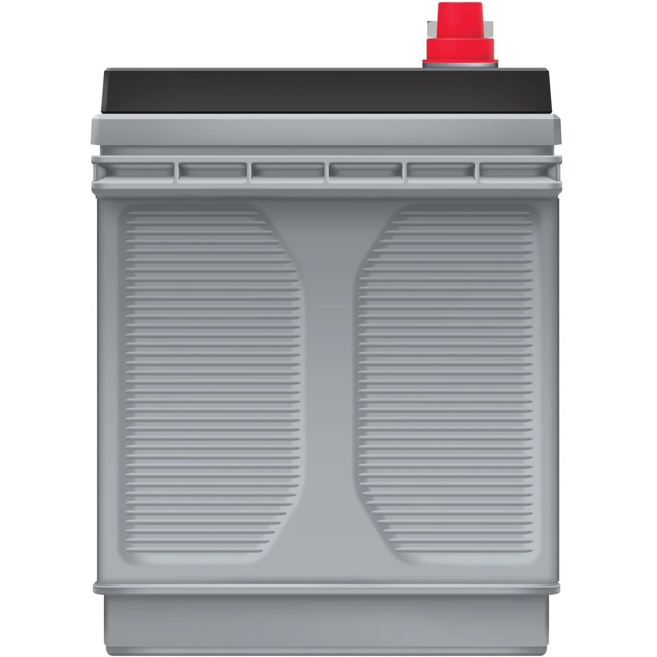 EverStart Platinum BOXED AGM Marine and RV Deep Cycle Battery. Group Size 31M 12 Volt. 1030 MCA
