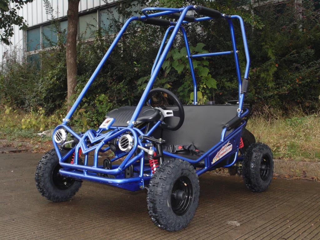 TrailMaster Mini XRS+ 163cc Kids Go-Kart | 2-Seater | Automatic | Ages 5�C11 | Off-Road Go Kart with 5.5HP Engine. Dual Suspension. and Disc Brakes