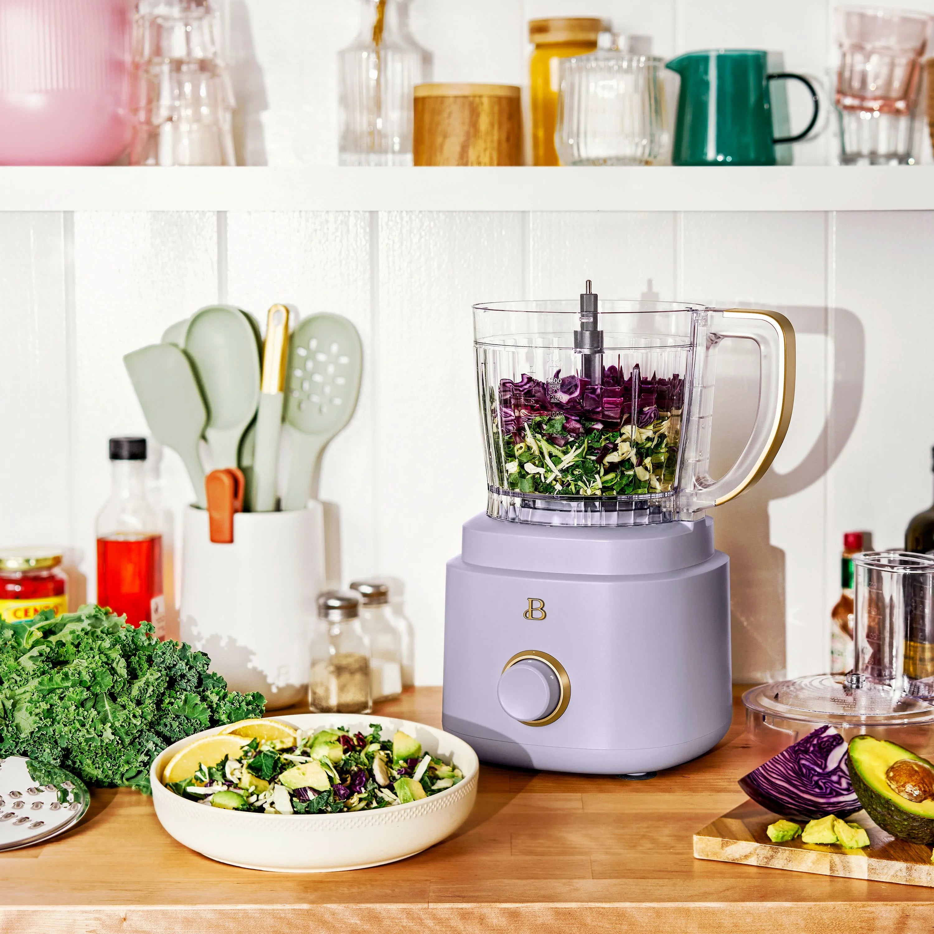 Beautiful 10-Cup Food Processor with Accessories. White Icing by Drew Barrymore